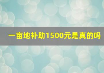 一亩地补助1500元是真的吗