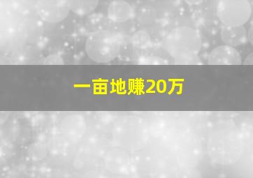 一亩地赚20万