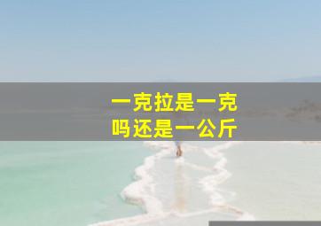 一克拉是一克吗还是一公斤