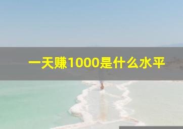 一天赚1000是什么水平