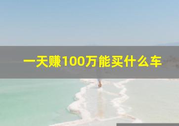 一天赚100万能买什么车