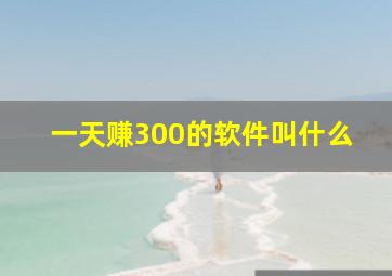 一天赚300的软件叫什么