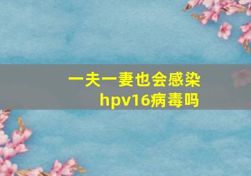 一夫一妻也会感染hpv16病毒吗