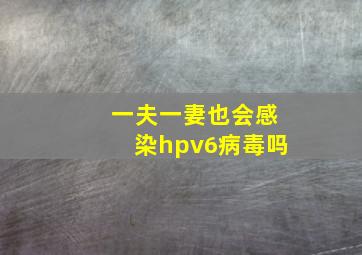 一夫一妻也会感染hpv6病毒吗