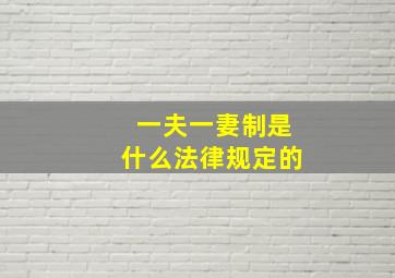 一夫一妻制是什么法律规定的