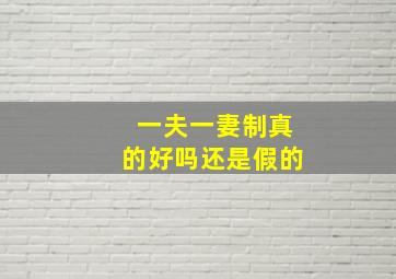 一夫一妻制真的好吗还是假的