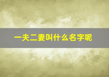 一夫二妻叫什么名字呢