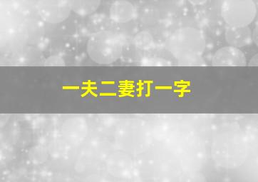 一夫二妻打一字