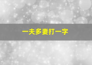 一夫多妻打一字