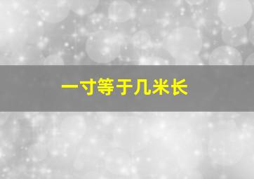 一寸等于几米长