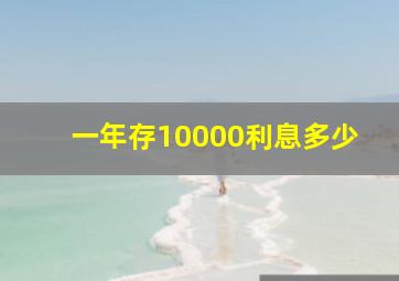 一年存10000利息多少