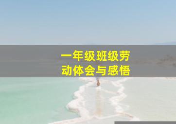 一年级班级劳动体会与感悟