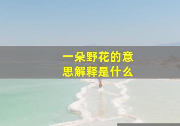 一朵野花的意思解释是什么