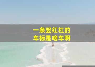 一条竖红杠的车标是啥车啊