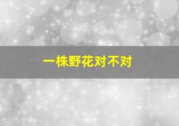 一株野花对不对