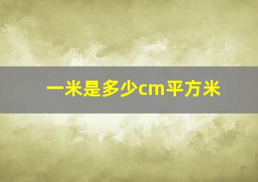 一米是多少cm平方米