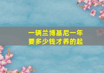 一辆兰博基尼一年要多少钱才养的起