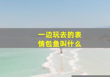 一边玩去的表情包鱼叫什么