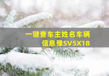 一键查车主姓名车辆信息豫SV5X18