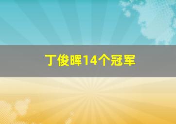 丁俊晖14个冠军