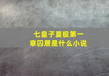 七皇子夏极第一章囚居是什么小说