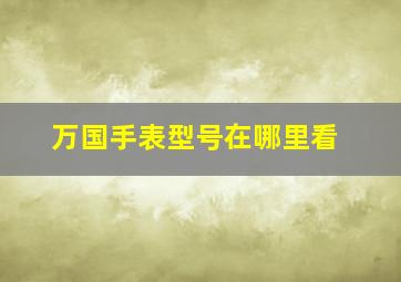 万国手表型号在哪里看