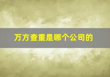 万方查重是哪个公司的