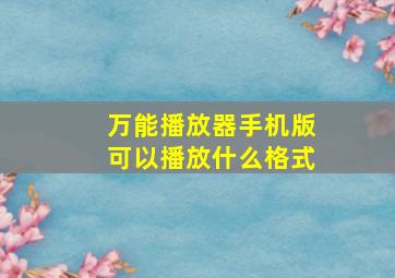 万能播放器手机版可以播放什么格式