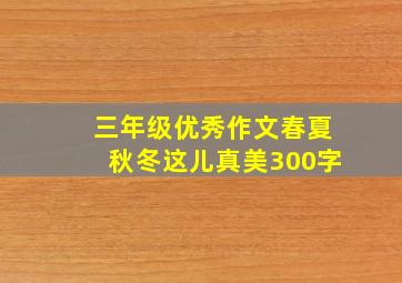 三年级优秀作文春夏秋冬这儿真美300字