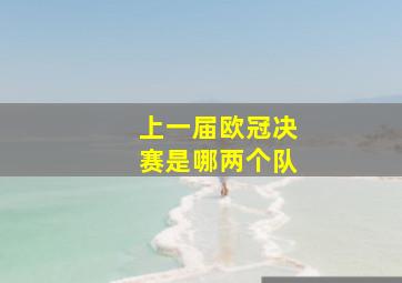 上一届欧冠决赛是哪两个队