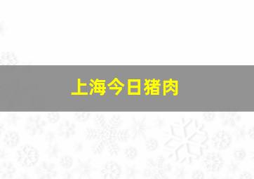 上海今日猪肉