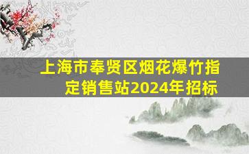 上海市奉贤区烟花爆竹指定销售站2024年招标