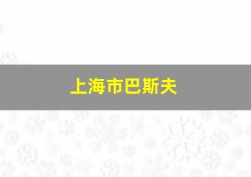 上海市巴斯夫