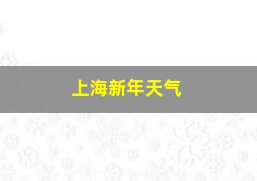 上海新年天气