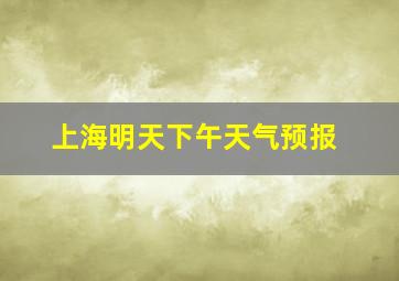 上海明天下午天气预报