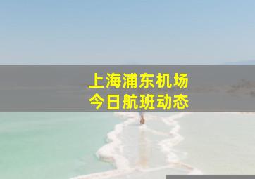 上海浦东机场今日航班动态