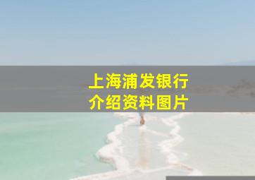 上海浦发银行介绍资料图片