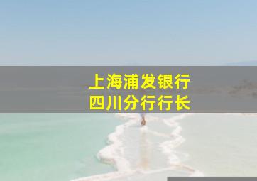 上海浦发银行四川分行行长