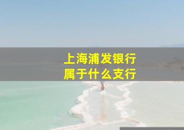 上海浦发银行属于什么支行