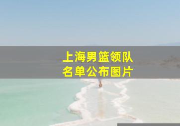 上海男篮领队名单公布图片