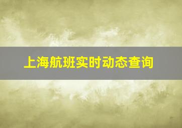 上海航班实时动态查询