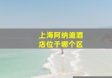 上海阿纳迪酒店位于哪个区