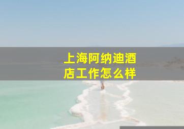 上海阿纳迪酒店工作怎么样