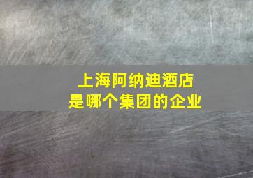 上海阿纳迪酒店是哪个集团的企业