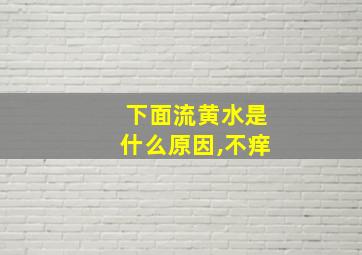 下面流黄水是什么原因,不痒