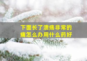 下面长了溃疡非常的痛怎么办用什么药好