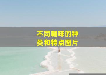 不同咖啡的种类和特点图片