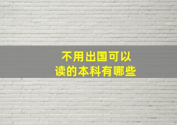 不用出国可以读的本科有哪些