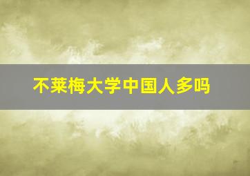 不莱梅大学中国人多吗