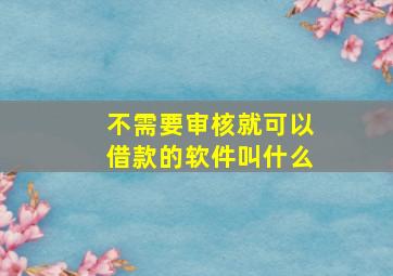 不需要审核就可以借款的软件叫什么